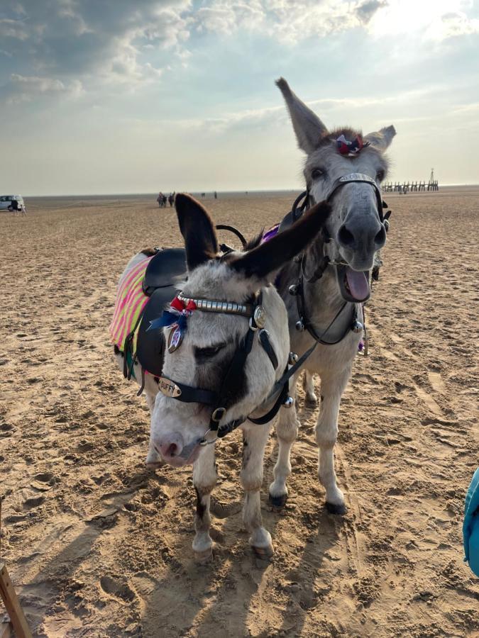 Beach Sunset ليثام سانت أنيه المظهر الخارجي الصورة